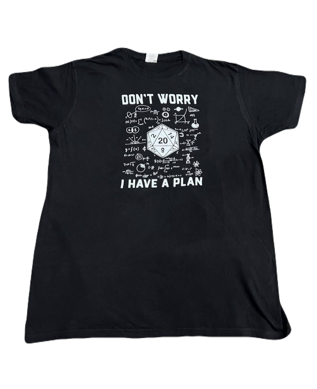 "Don't Worry, I have a Plan" Tee (Large)