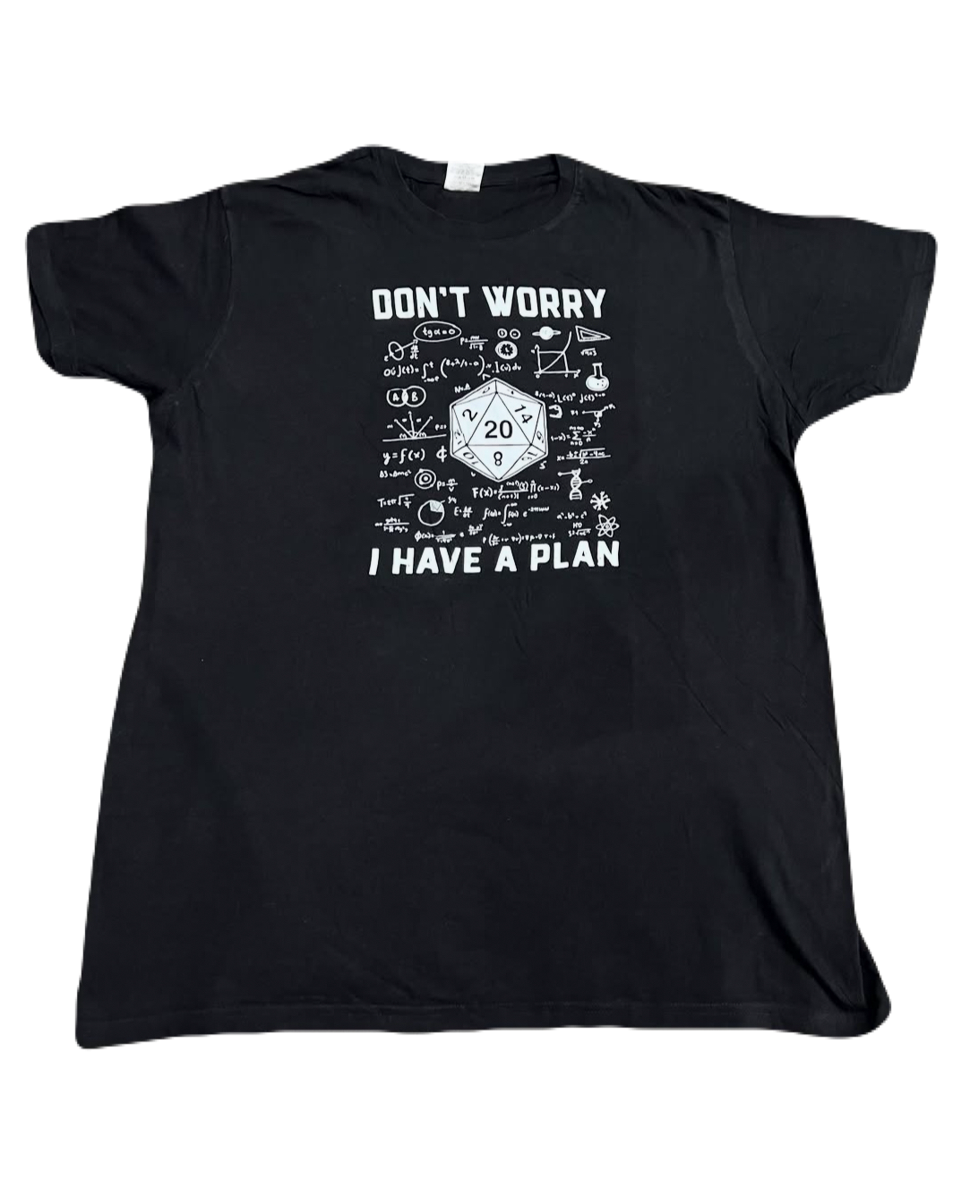 "Don't Worry, I have a Plan" Tee (Large)