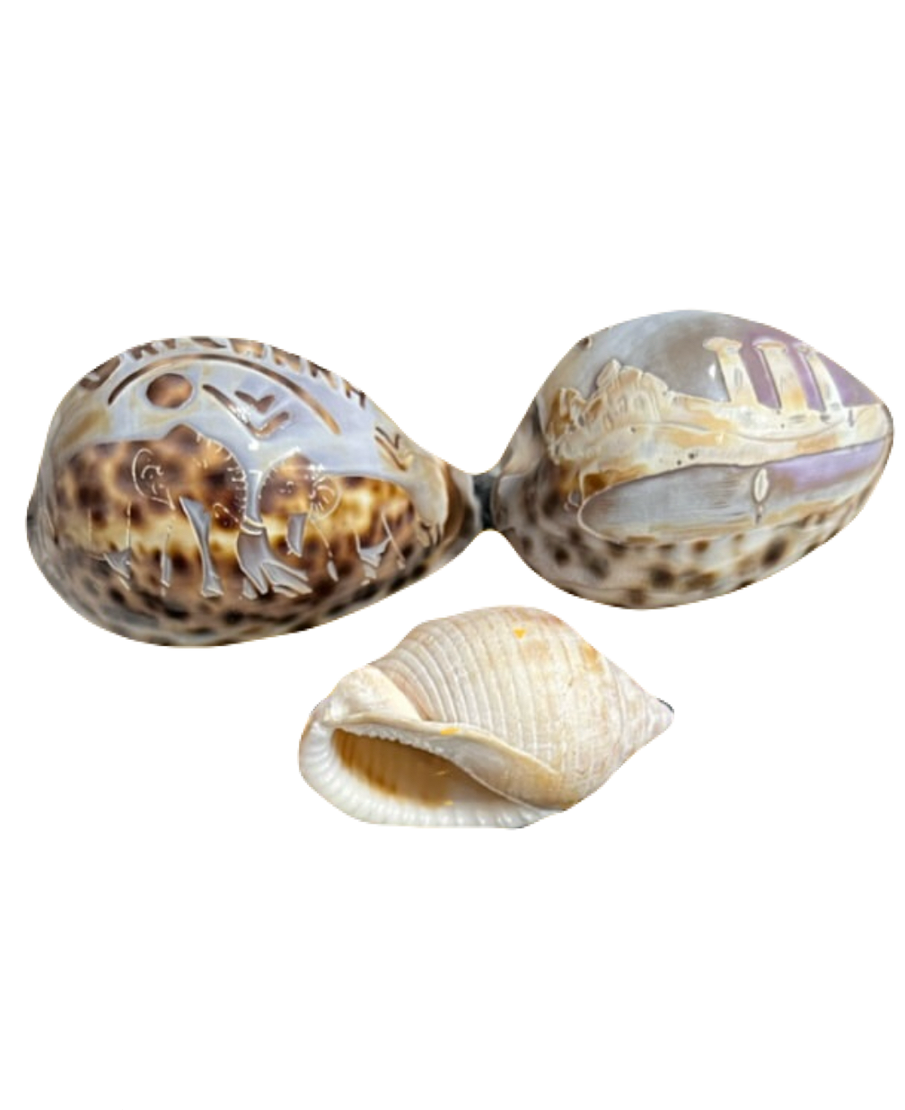 Set of 3 Vintage Carved Seashells