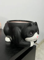 Black Cat Pot Planter