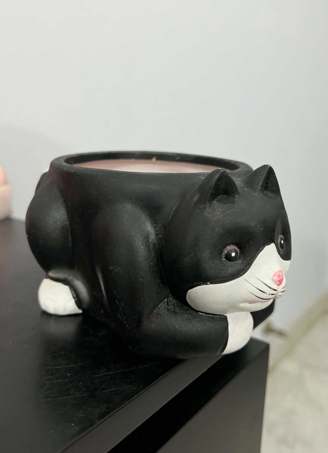 Black Cat Pot Planter