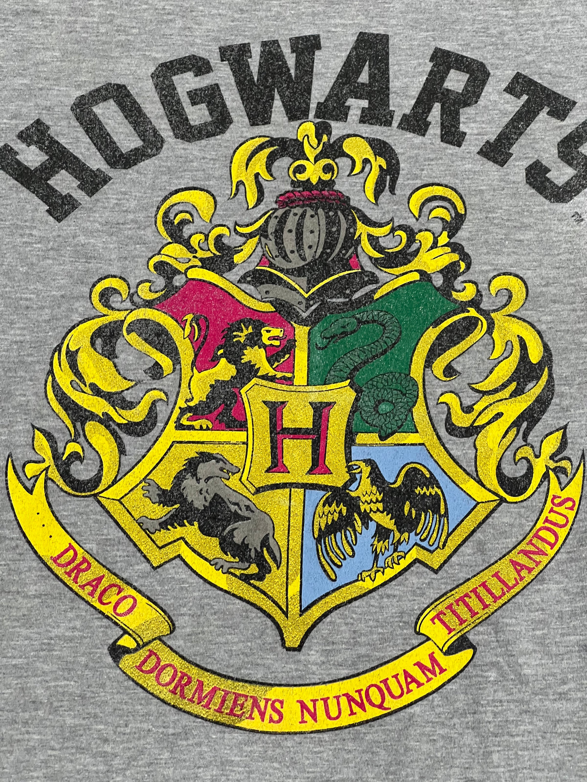 Harry Potter Hogwarts Tee (Large)