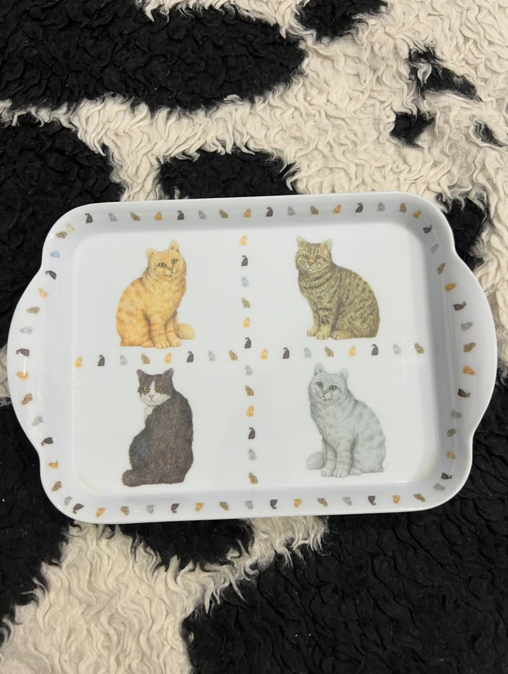 Cats Tray
