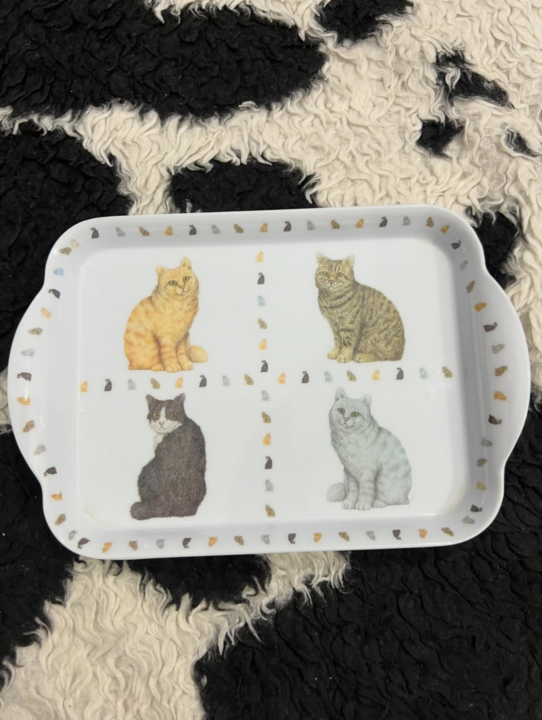Cats Tray