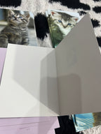 Kittens Cards Set of 20 Card
