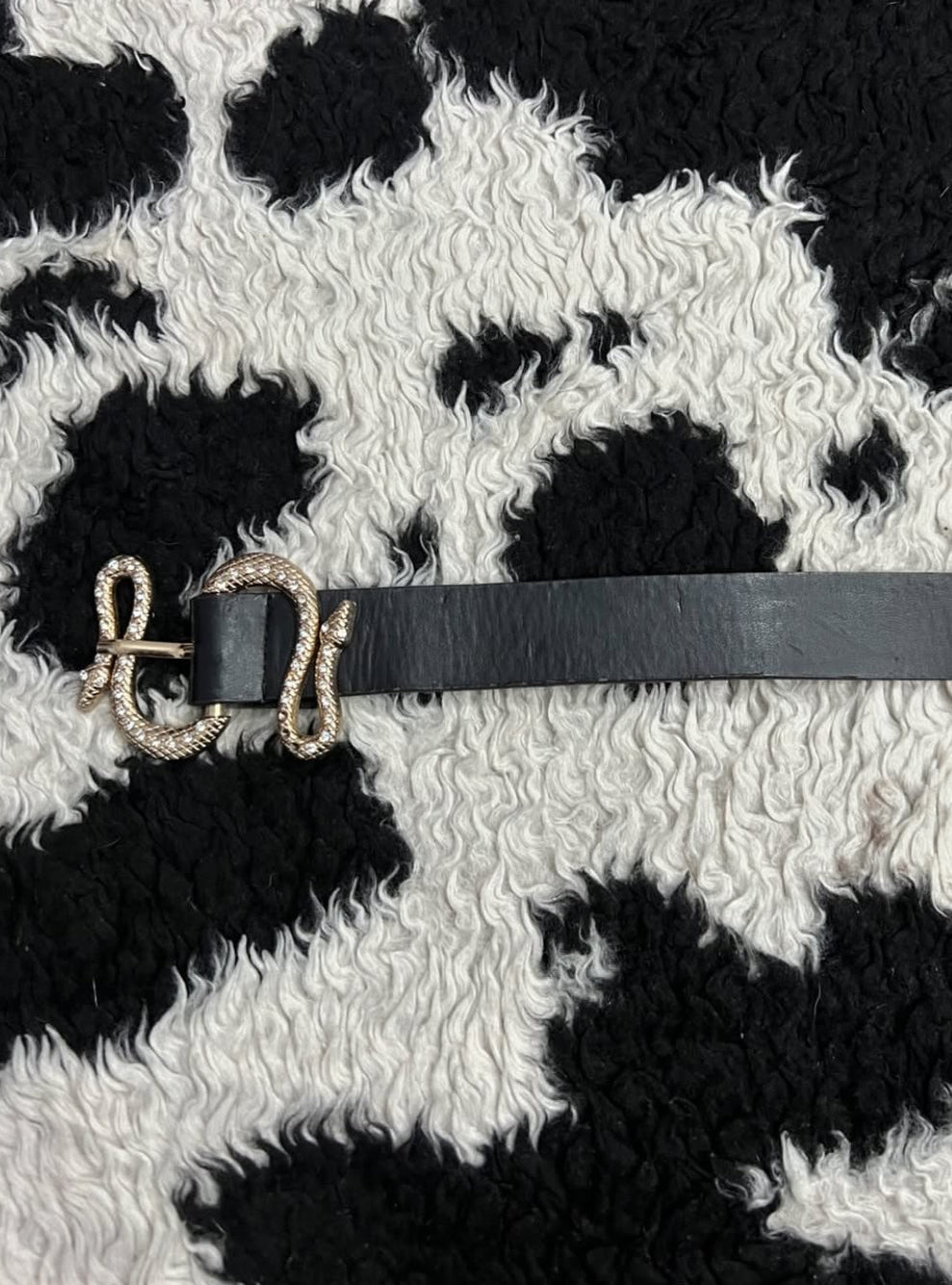 Black Snake Belt