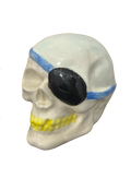 Pirate Skull Ceramic Coin Collector