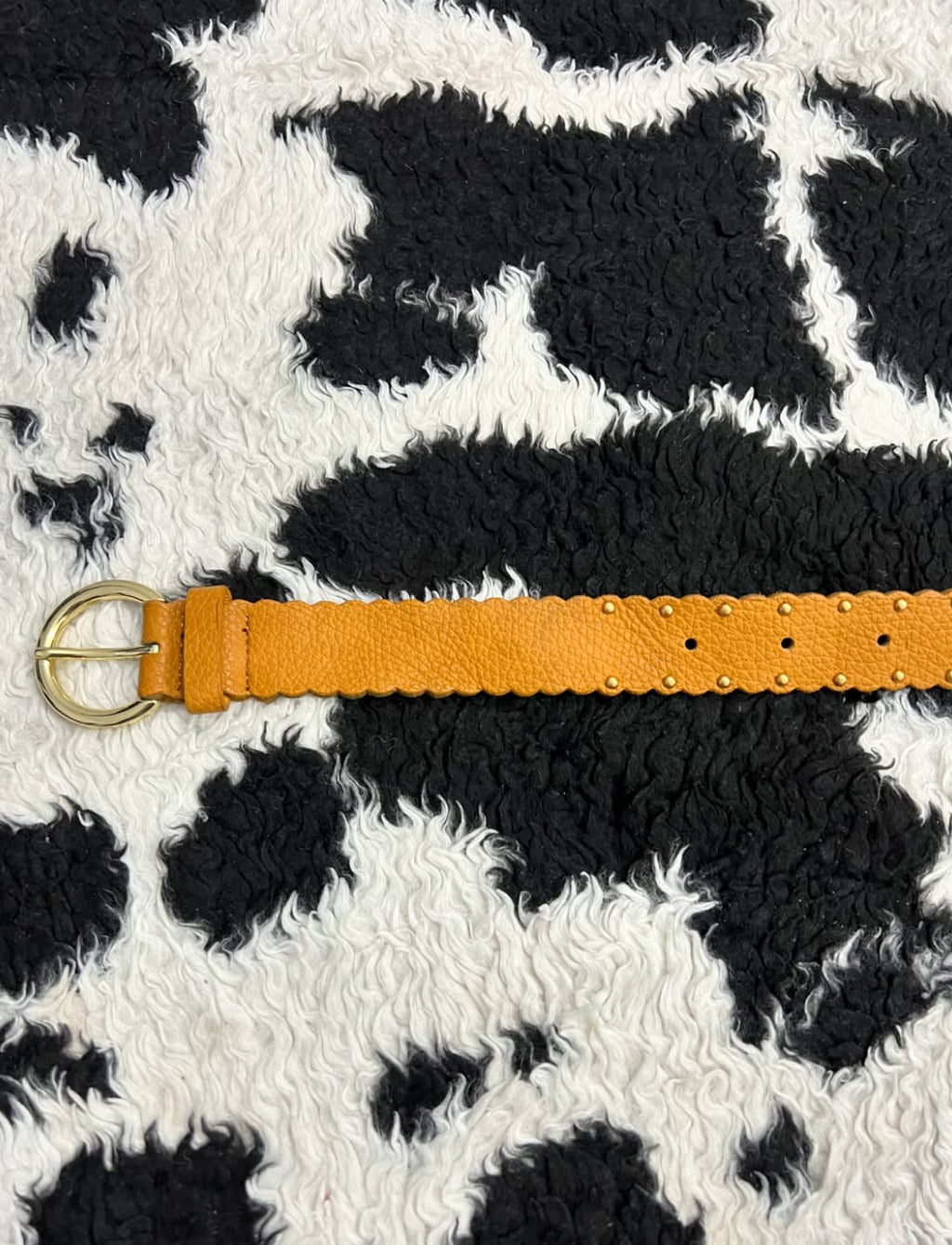 Mustard Belt