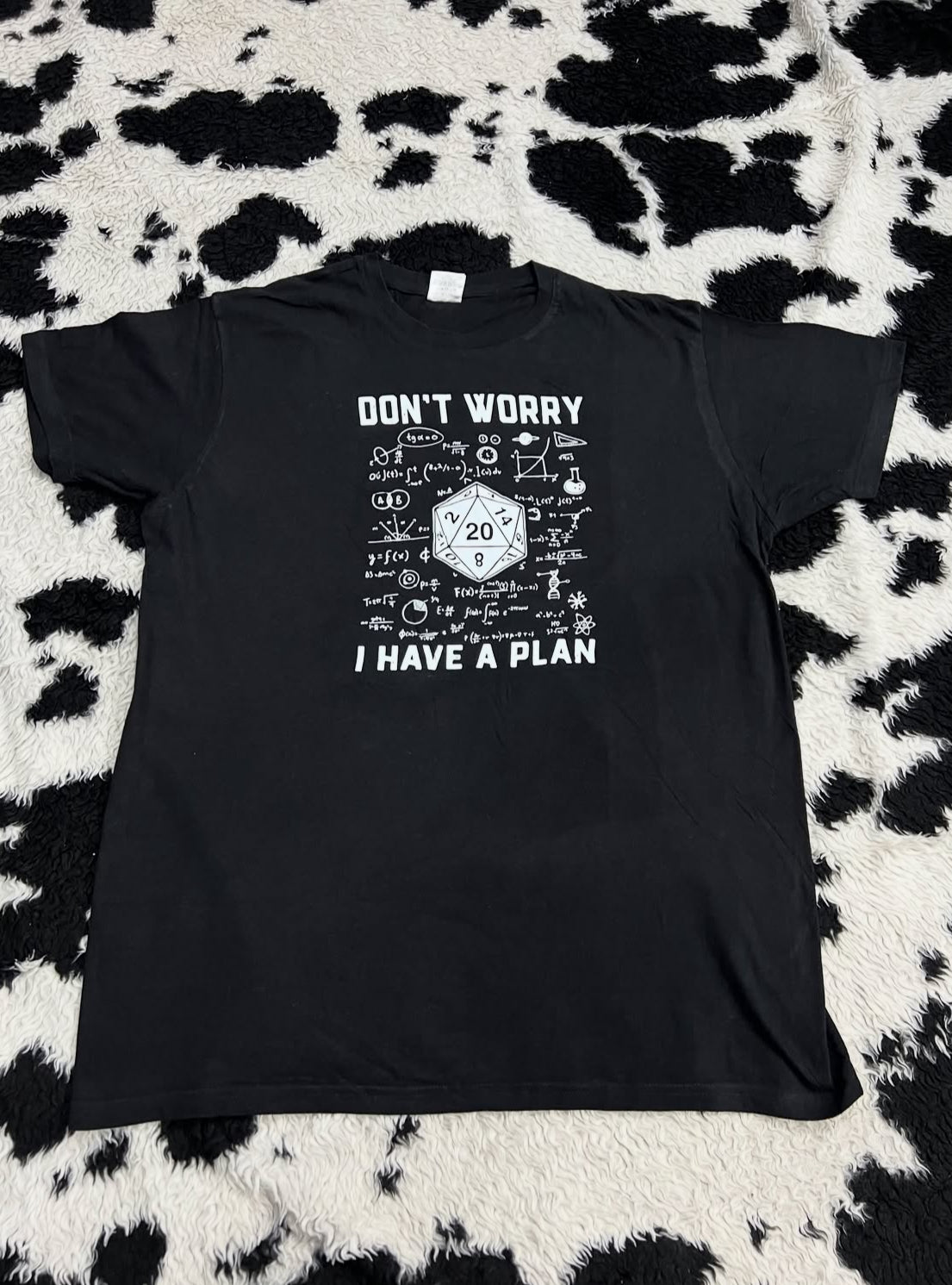 "Don't Worry, I have a Plan" Tee (Large)