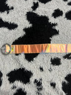 Transparent Holographic Belt