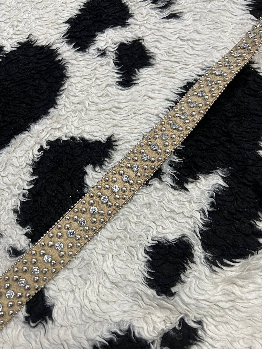 Cream-Colored Studded Belt