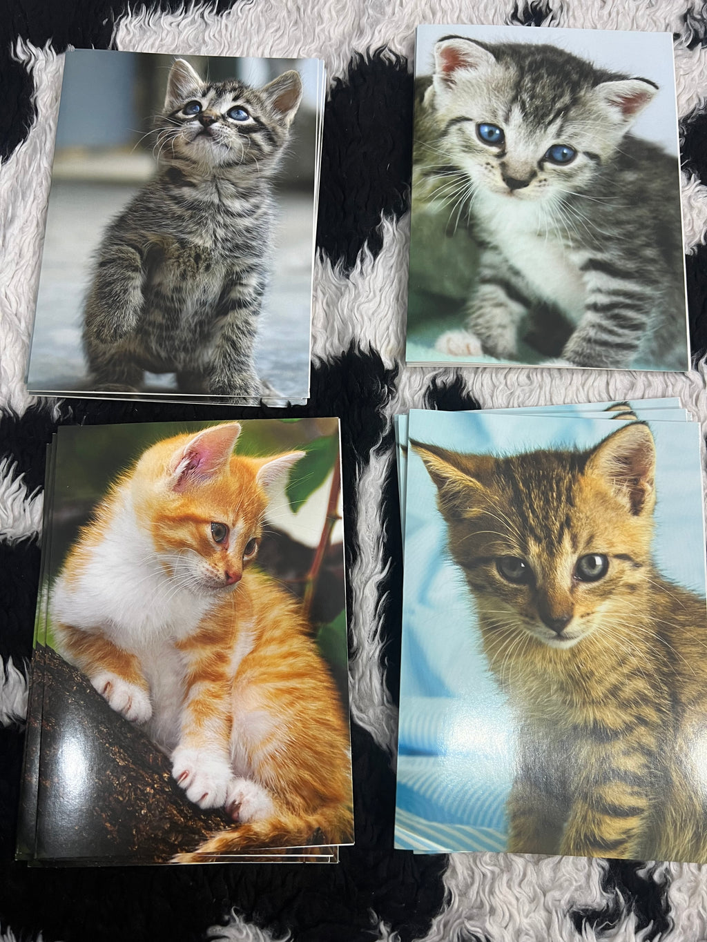 Kittens Cards Set of 20 Card