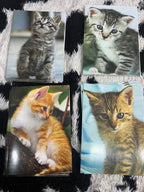 Kittens Cards Set of 20 Card