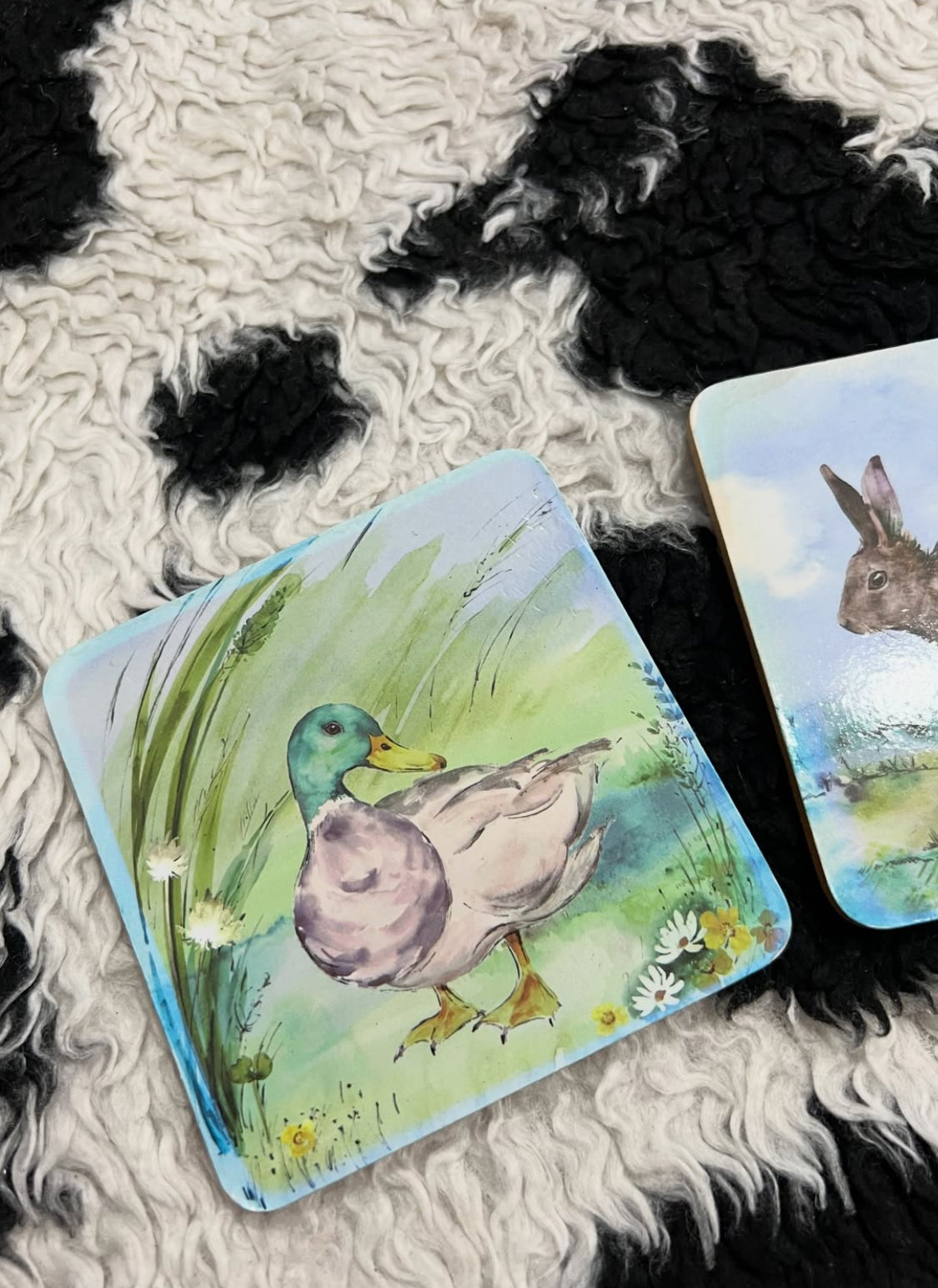 Rabbit & Duck Coasters Set