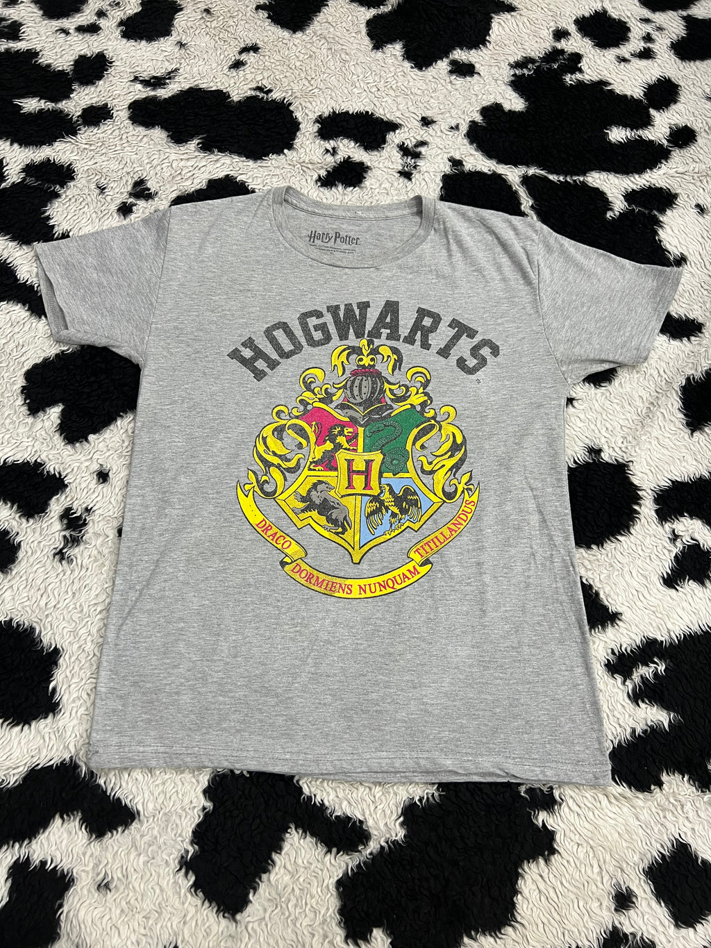 Harry Potter Hogwarts Tee (Large)