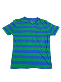 American Eagle Blue & Green Striped Tee (Large)