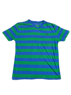 American Eagle Blue & Green Striped Tee (Large)