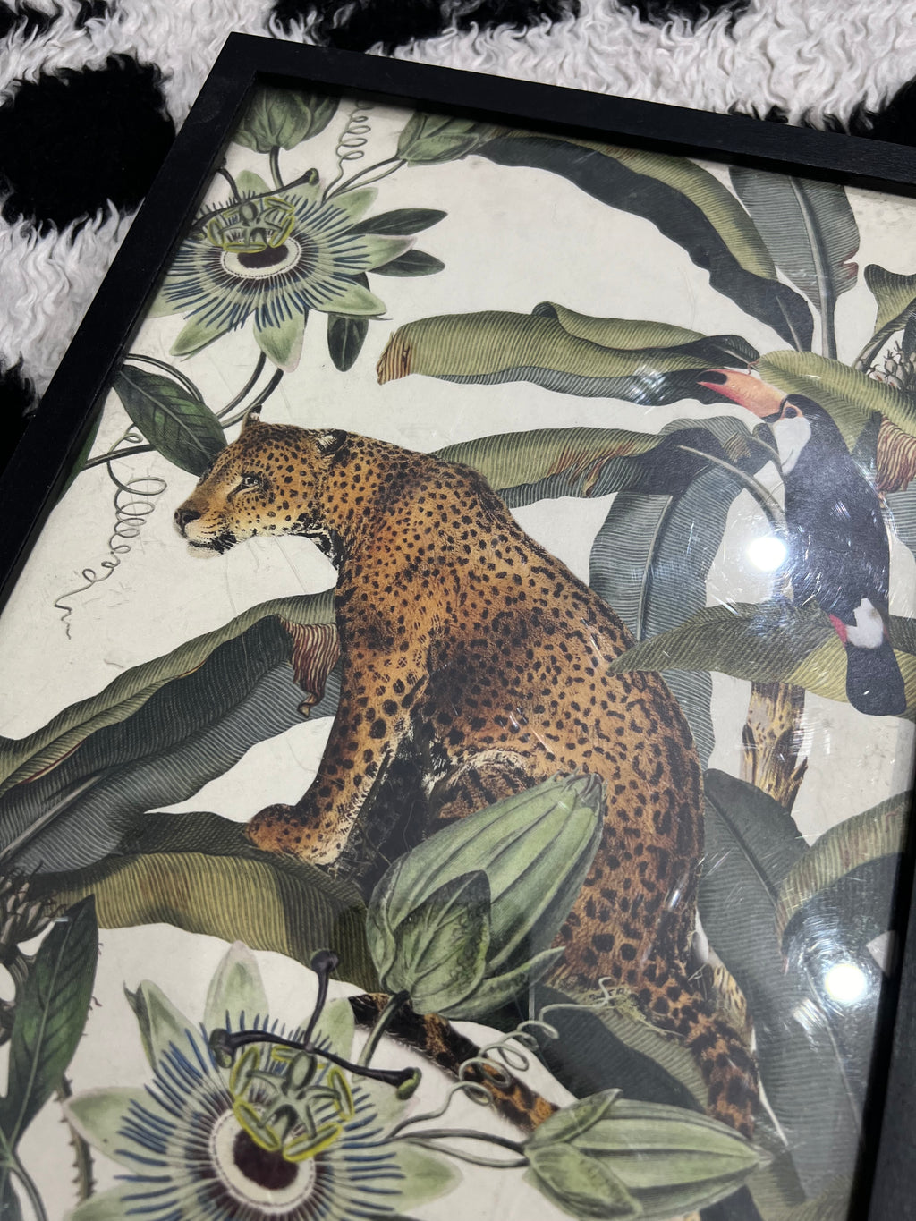 Soil&Co Exotic Leopard Frame