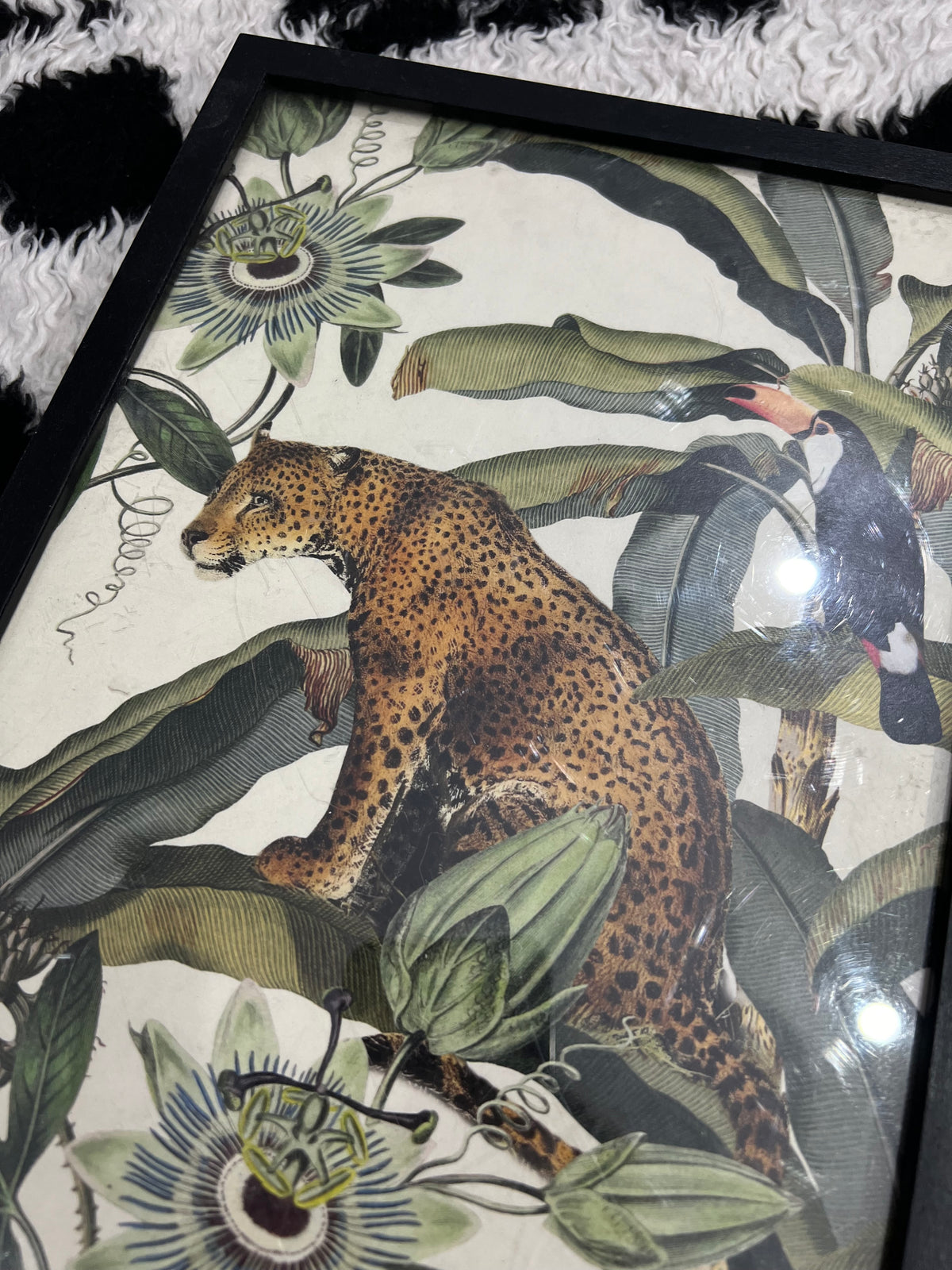 Soil&Co Exotic Leopard Frame