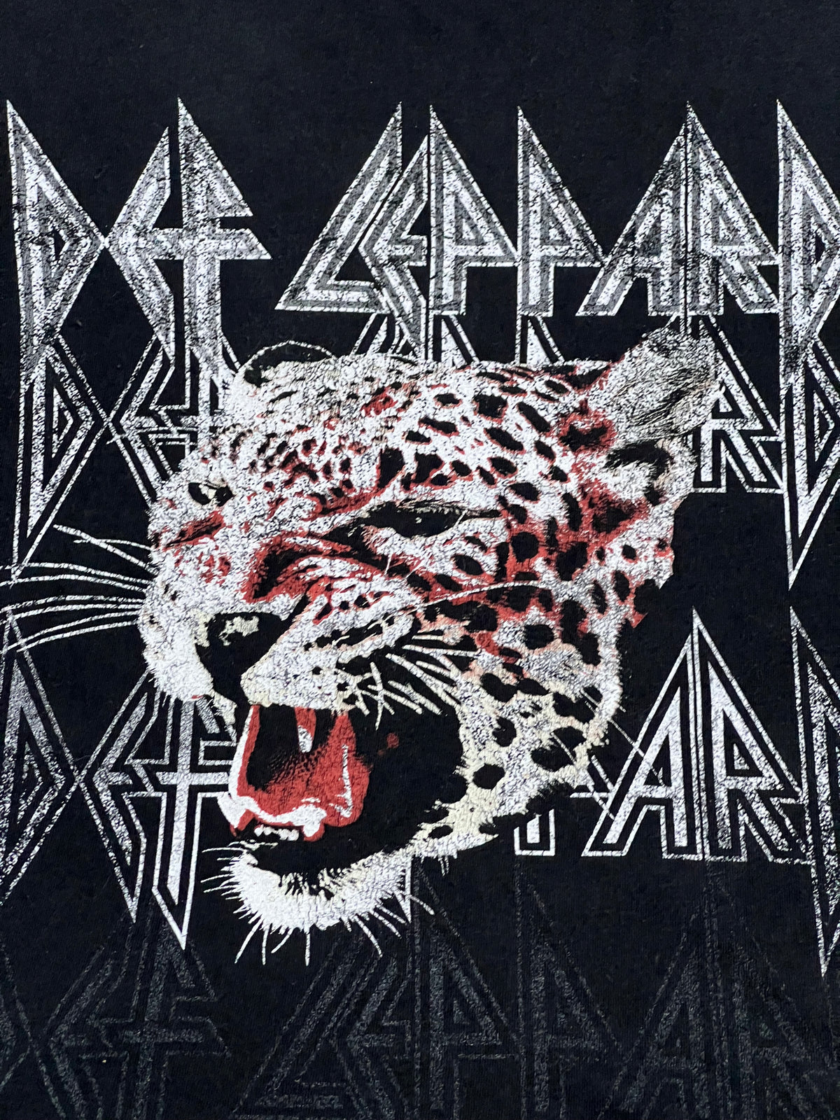 Def Leppard Band Tee (Extra Large)
