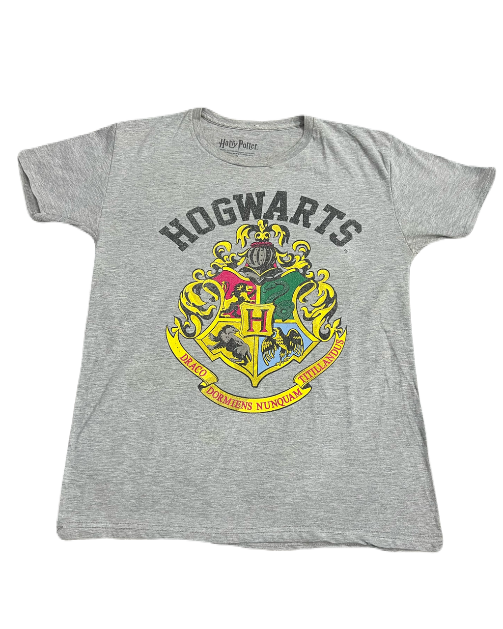 Harry Potter Hogwarts Tee (Large)