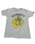 Harry Potter Hogwarts Tee (Large)