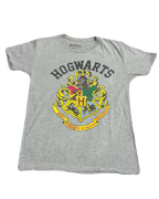 Harry Potter Hogwarts Tee (Large)