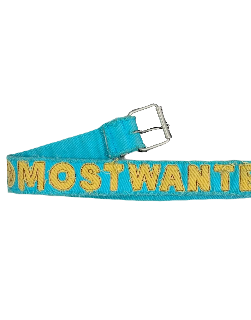 Most Wanted Teal Belt