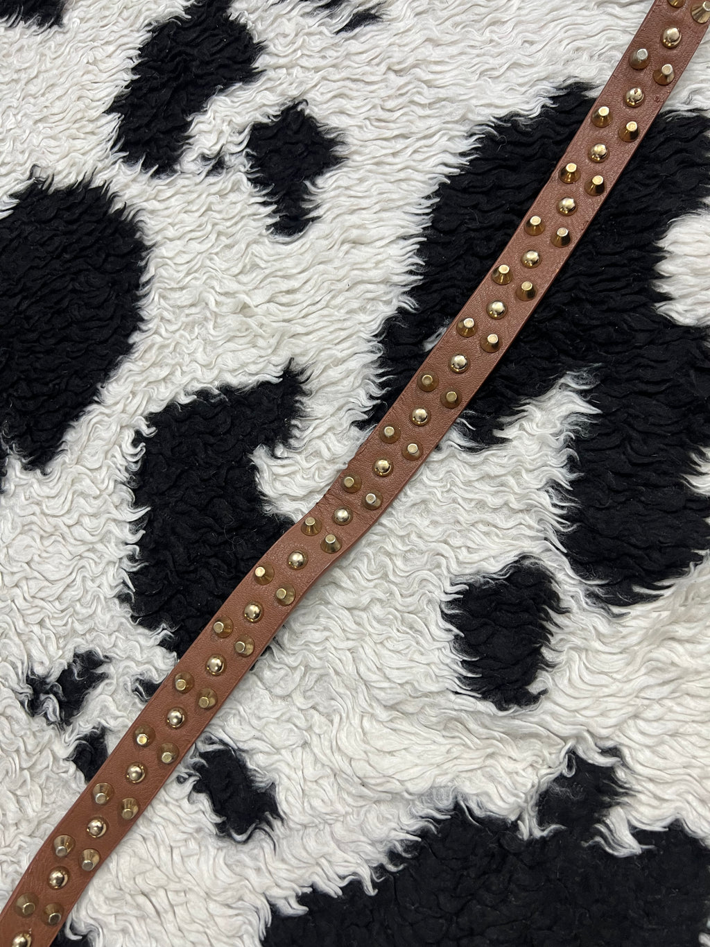 Brown Golden Studded Belt