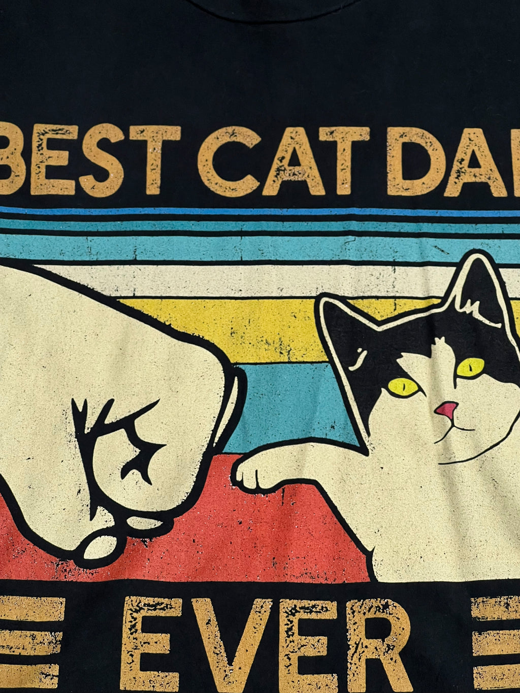 Best Cat Dad Ever Tee (Large)