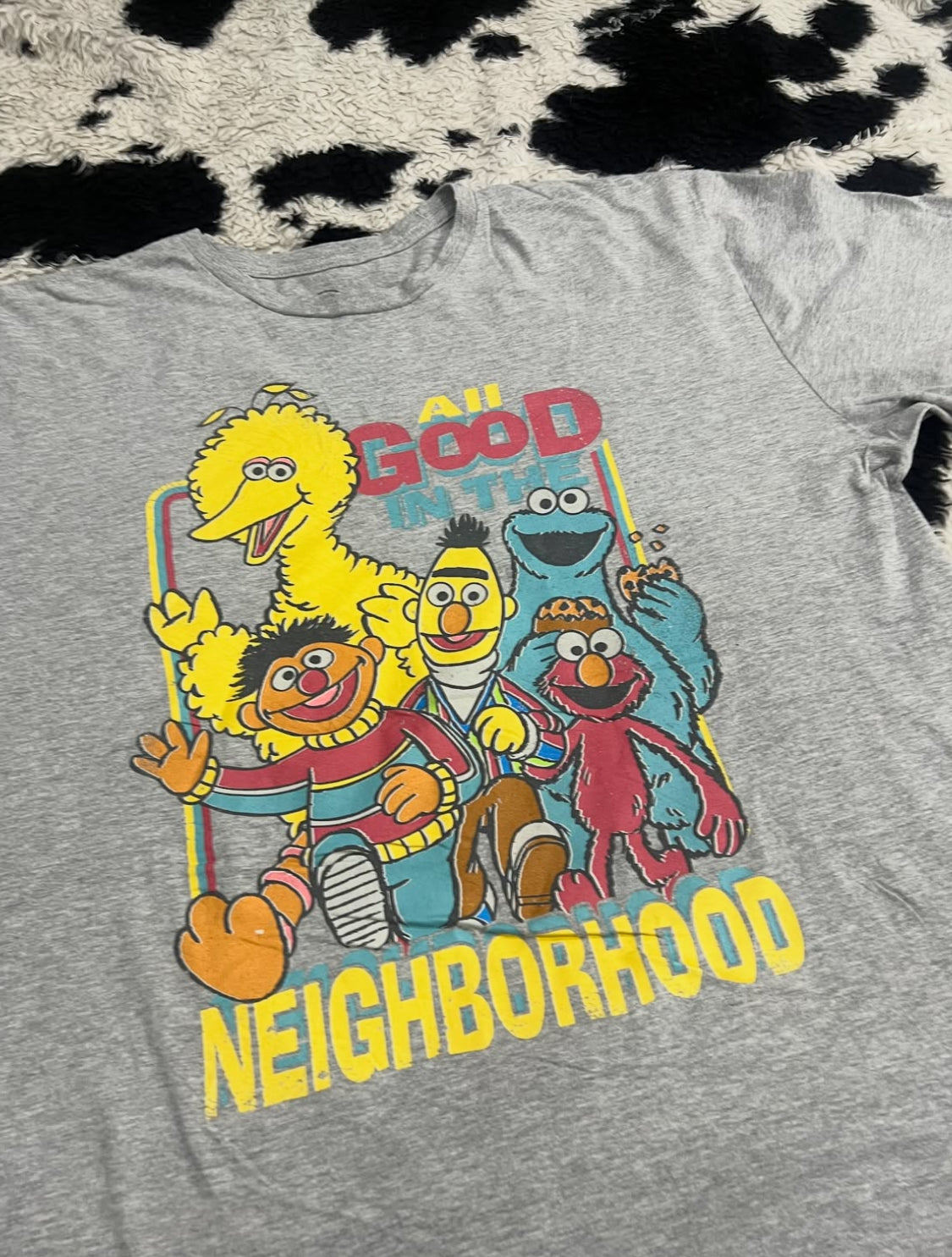 "All Good in the Neighborhood" Sesame Street Tee (Large / Extra Large)