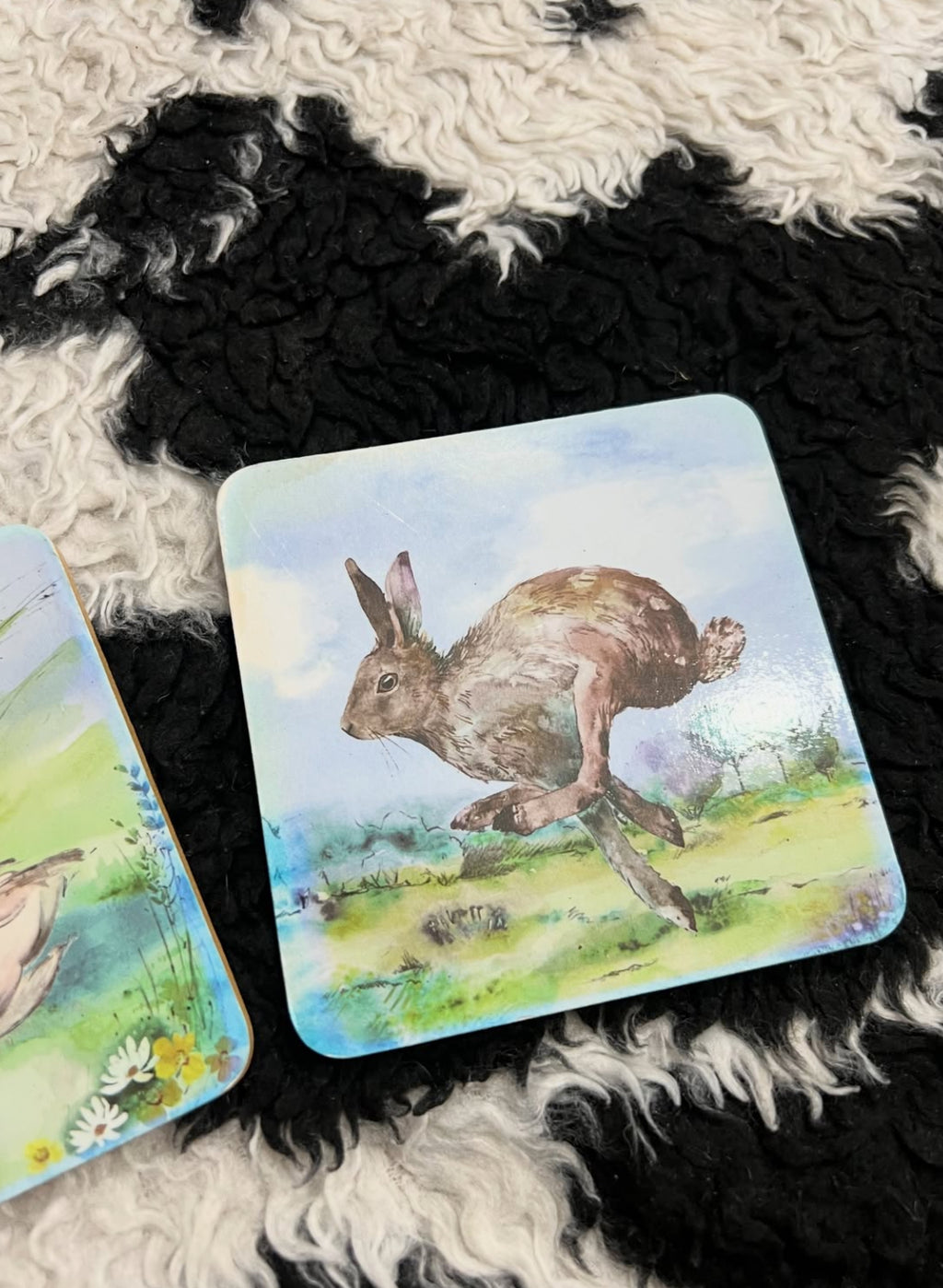 Rabbit & Duck Coasters Set