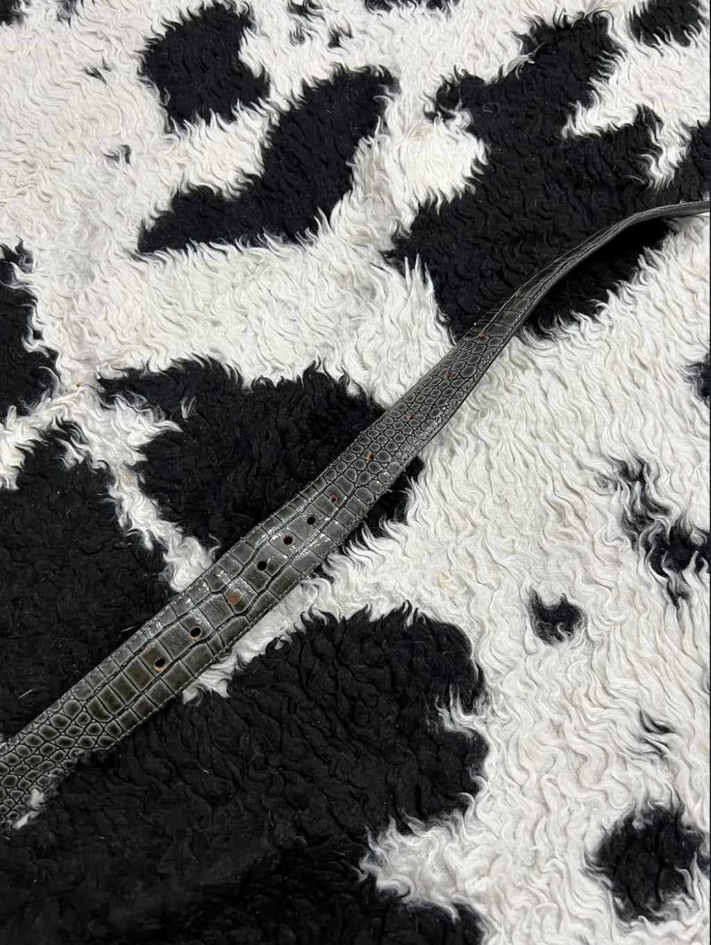 Grey Scaled Narrow Belt