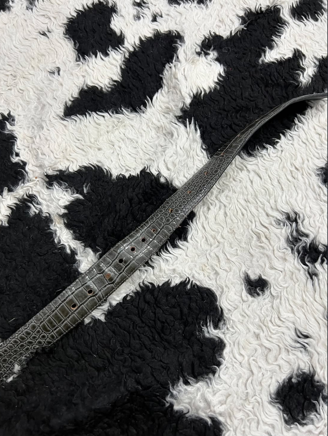 Grey Scaled Narrow Belt