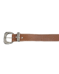 Brown Scaled Silver Buckle Belt