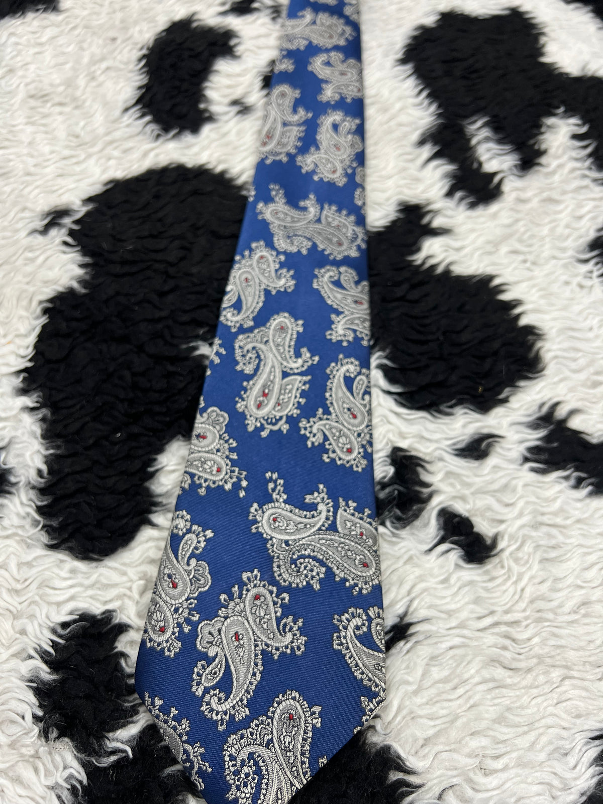 C&A Blue Paisley Tie