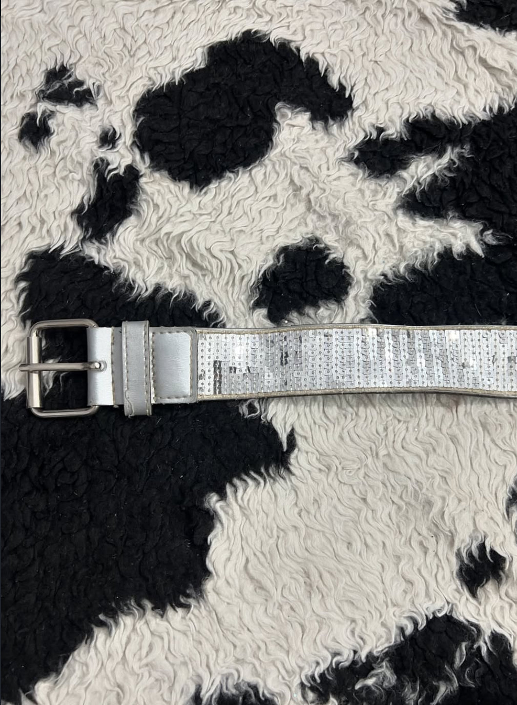 Silver Sparkle Belt