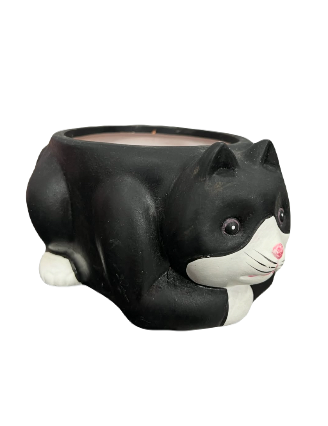 Black Cat Pot Planter