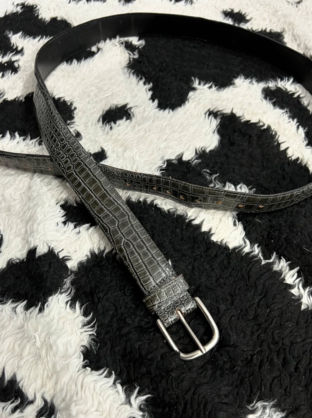 Grey Scaled Narrow Belt