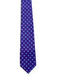 Taylor & Wright Blue Purple Embroidered Tie