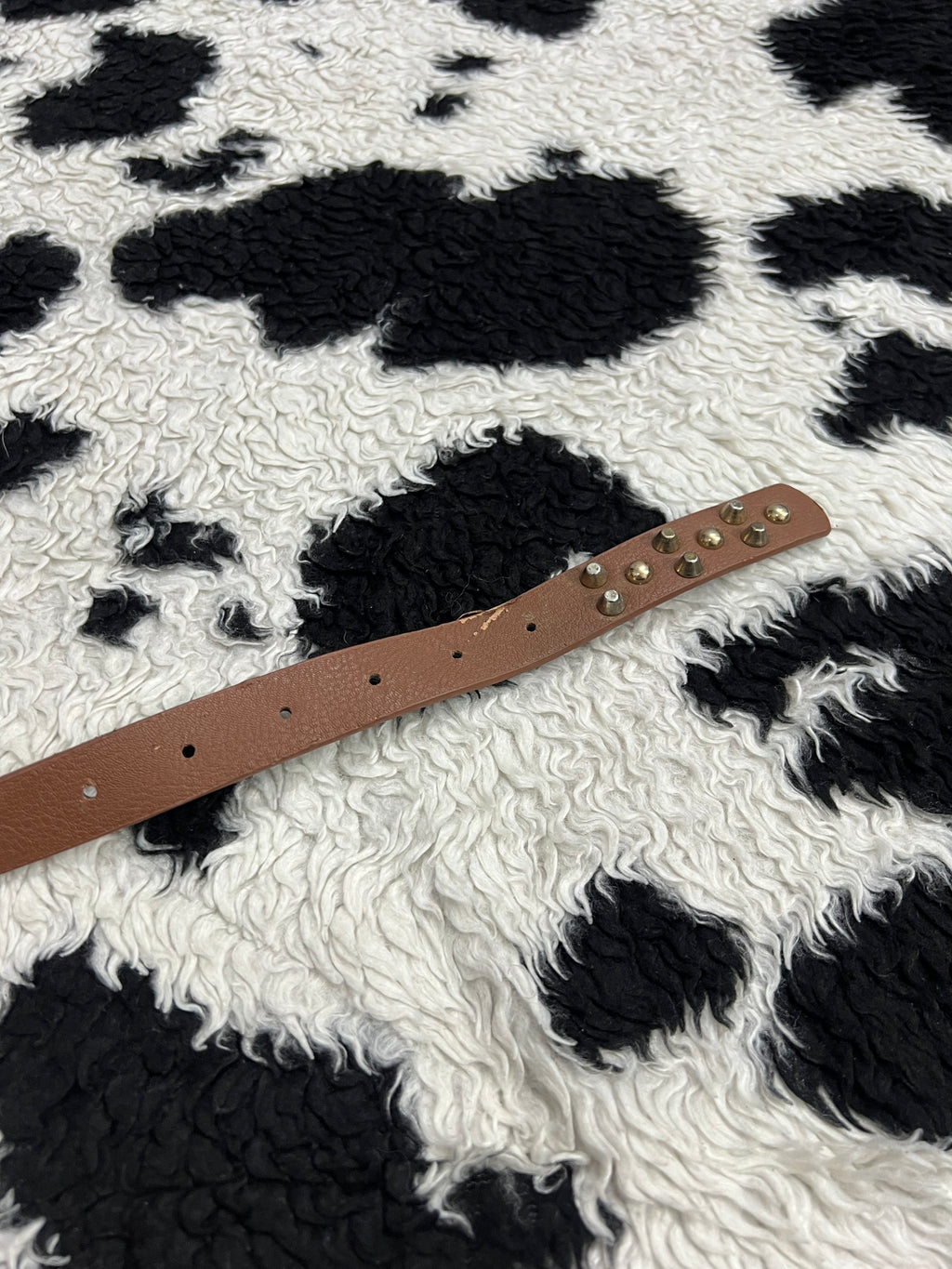 Brown Golden Studded Belt
