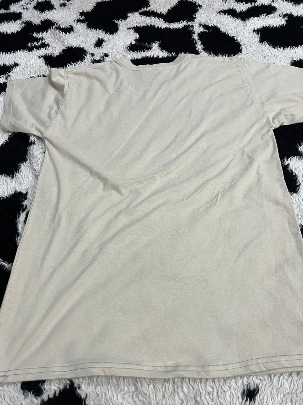 Disneyland Tee (Medium)