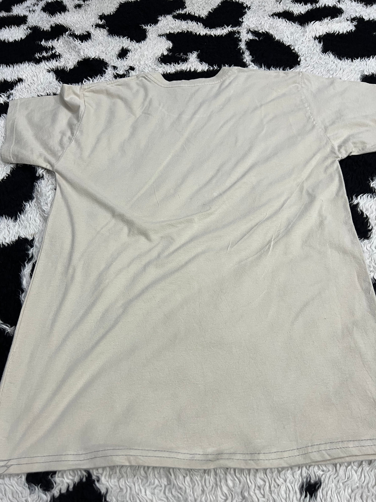 Disneyland Tee (Medium)