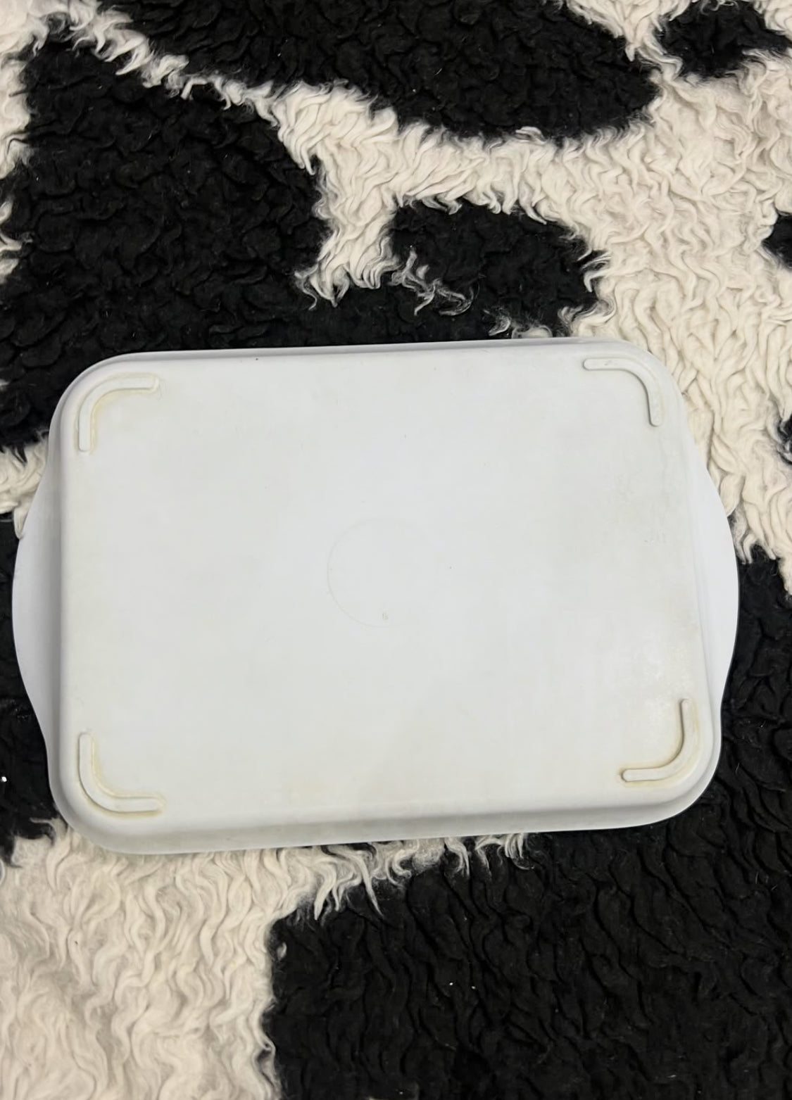 Cats Tray