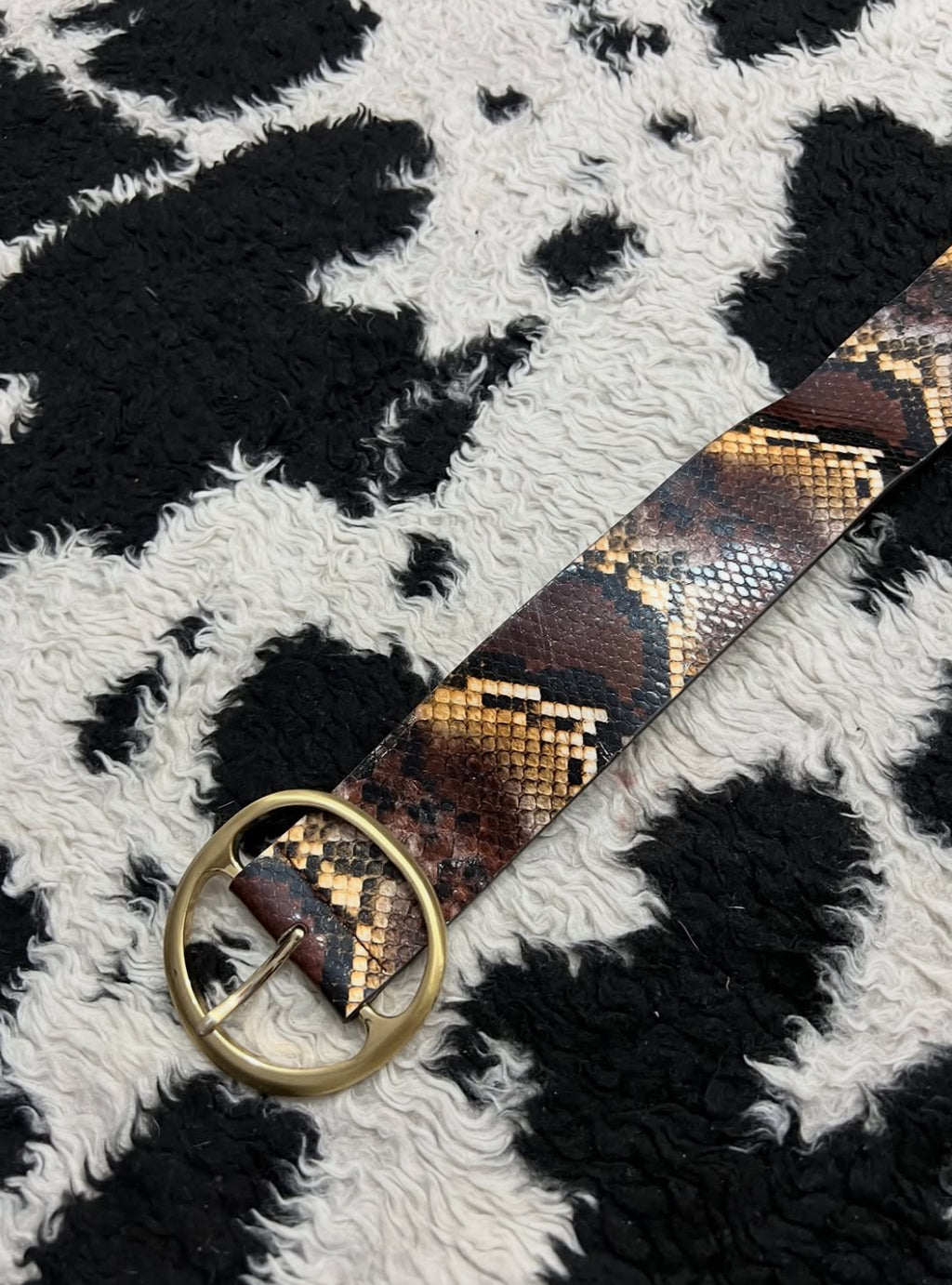 Snake-Skin Wide Belt