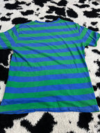 American Eagle Blue & Green Striped Tee (Large)