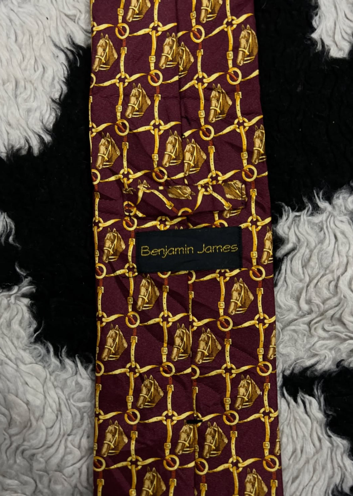 Benjamin James Horses Tie