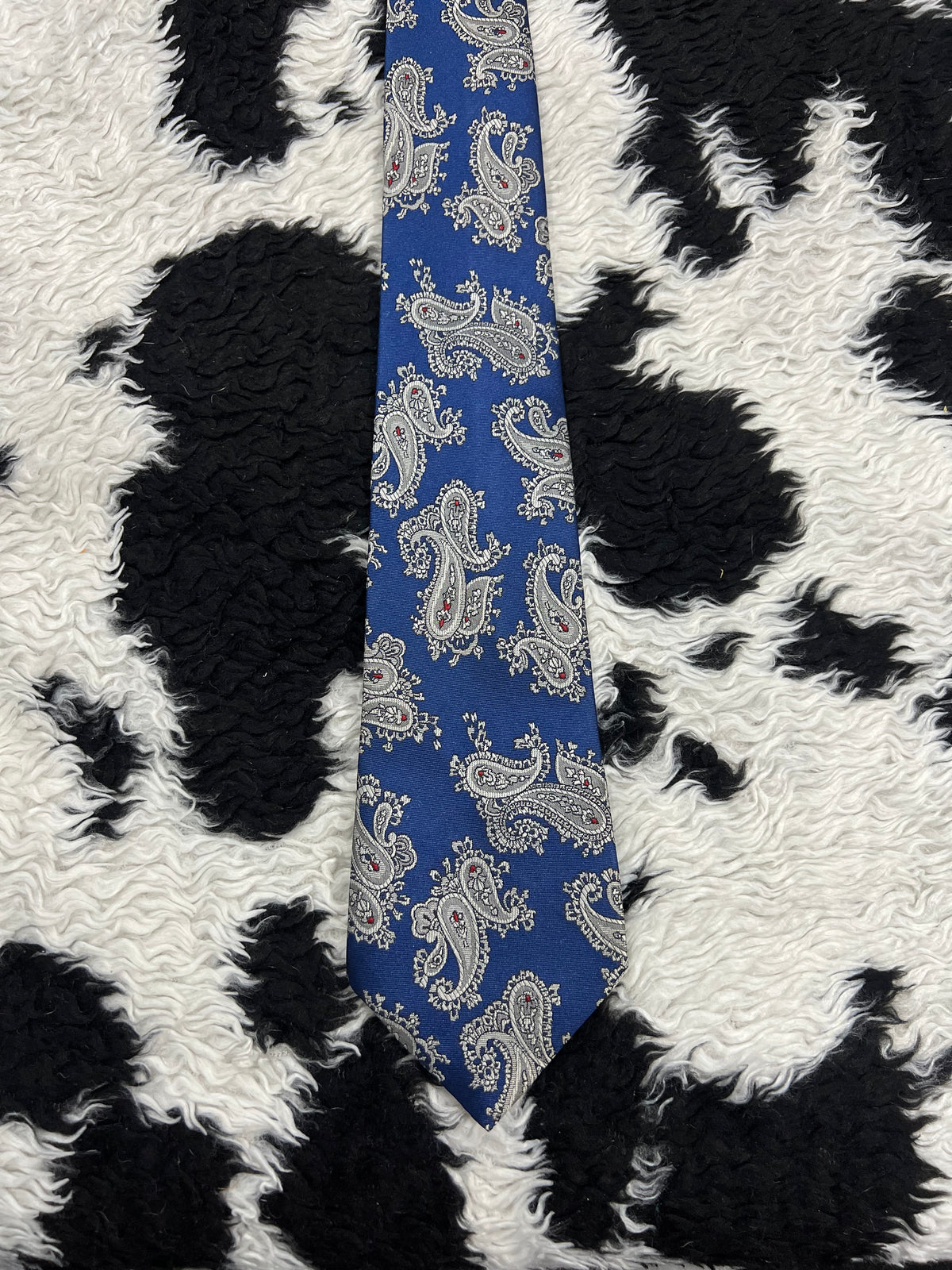 C&A Blue Paisley Tie