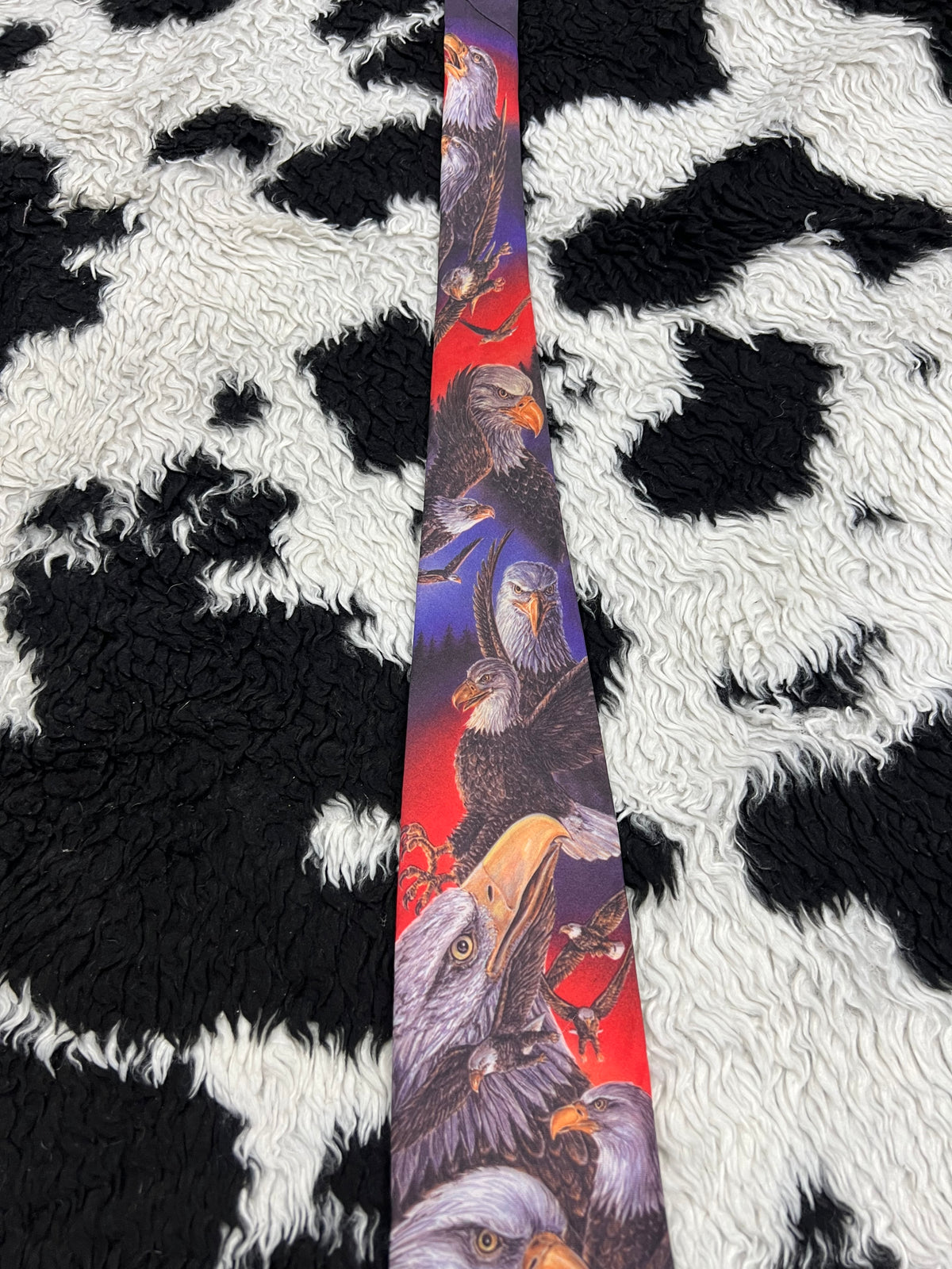 Eagles Graphic Tie