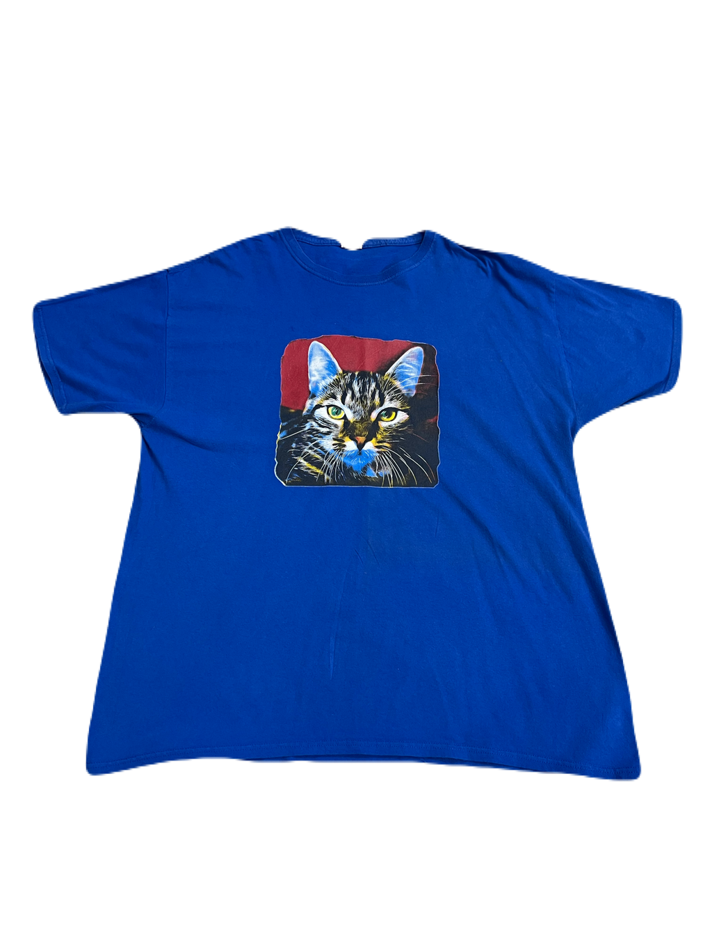 Fruit of the Loom Cat Tee (Extra Large)